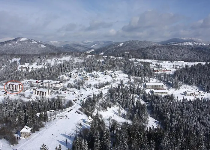 Homestay Тисовець Квартира *
